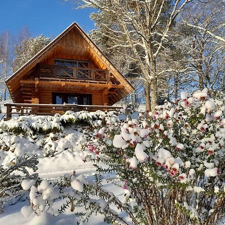 Ezerkalni Villa Raiskums Екстериор снимка